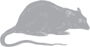 Mammal Clipart