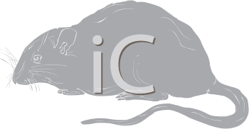 Mammal Clipart