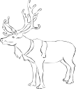 Mammal Clipart