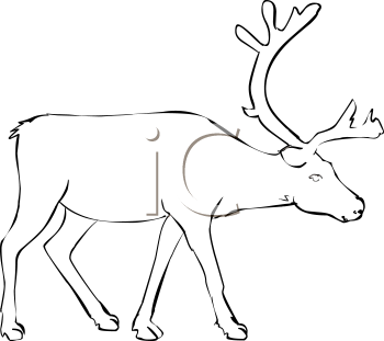 Mammal Clipart