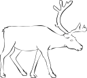 Mammal Clipart