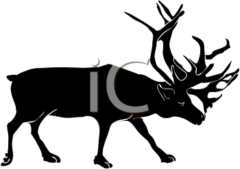 Mammal Clipart