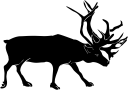Mammal Clipart