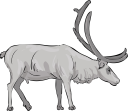 Mammal Clipart