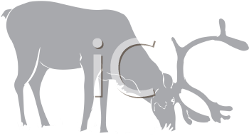 Mammal Clipart