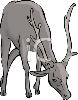 Mammal Clipart