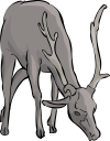 Mammal Clipart