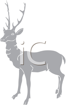 Mammal Clipart