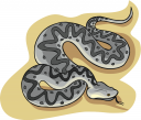 Snake Clipart