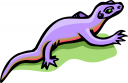 Chameleon Clipart