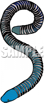 Snake Clipart