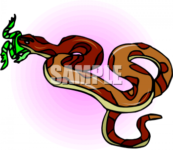 Snake Clipart