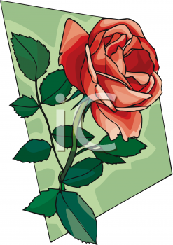 Rose Clipart