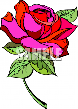 Rose Clipart
