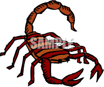 Bug Clipart
