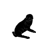 Mammal Clipart