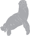 Mammal Clipart