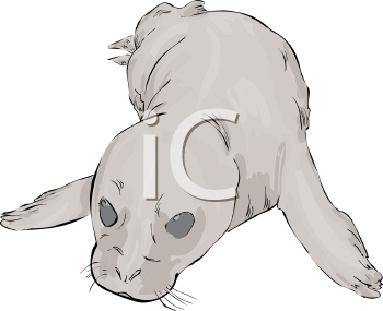 Mammal Clipart