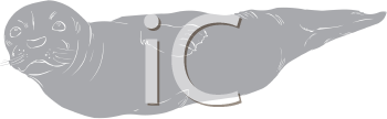 Mammal Clipart