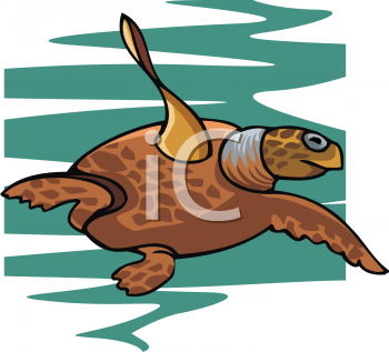 Turtle Clipart