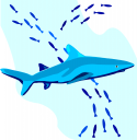 Fish Clipart