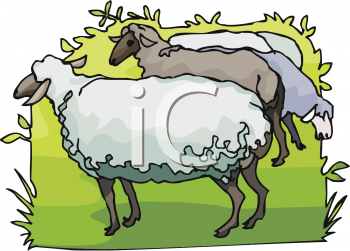 Mammal Clipart