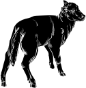 Mammal Clipart