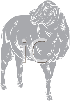 Mammal Clipart