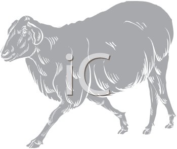 Mammal Clipart