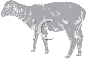 Mammal Clipart