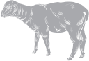 Mammal Clipart