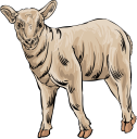 Mammal Clipart