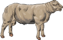 Mammal Clipart