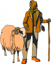Sheep Clipart