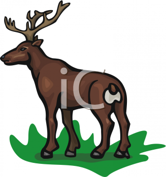 Deer Clipart