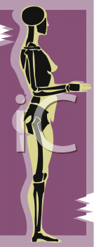 Anatomy Clipart