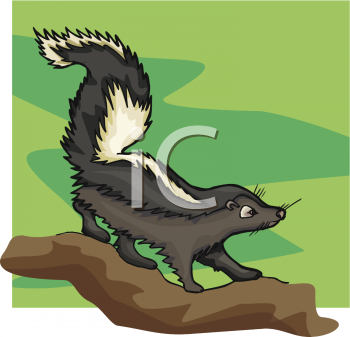 Skunk Clipart