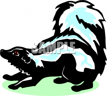 Skunk Clipart