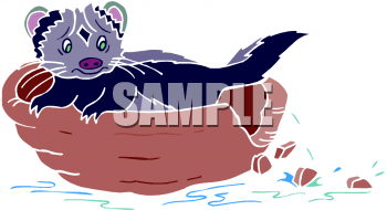 Skunk Clipart