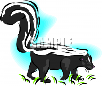 Skunk Clipart