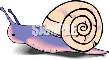 Bug Clipart