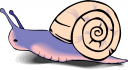 Bug Clipart