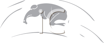 Mammal Clipart