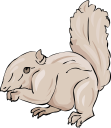 Mammal Clipart