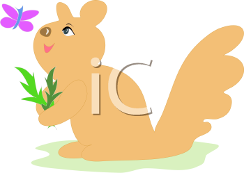 Squirrel Clipart