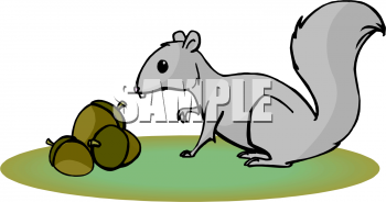 Squirrel Clipart