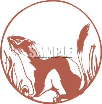 Squirrel Clipart