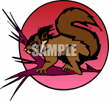 Squirrel Clipart