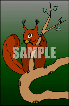 Squirrel Clipart
