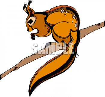 Squirrel Clipart